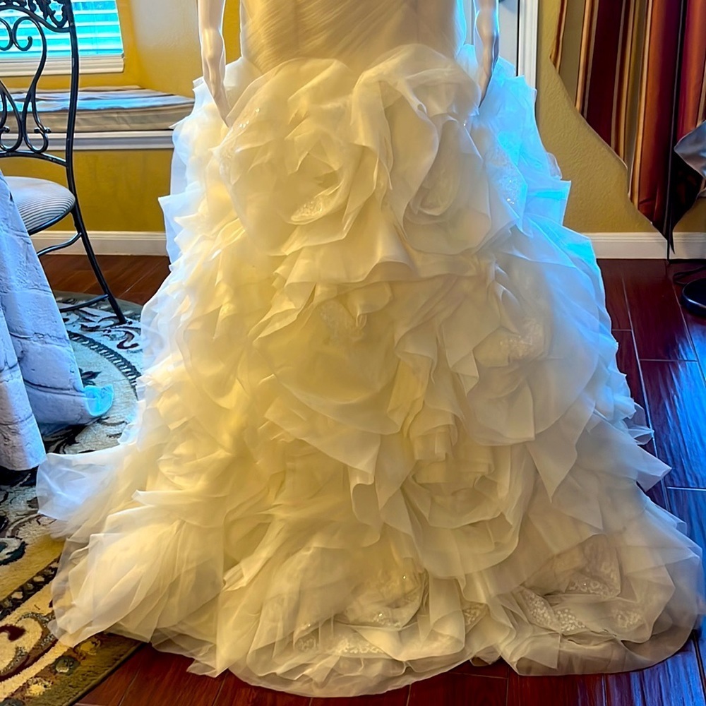 Vera Wang wedding gown from David Bridal. Brand new with tag - Picture 4 of 14